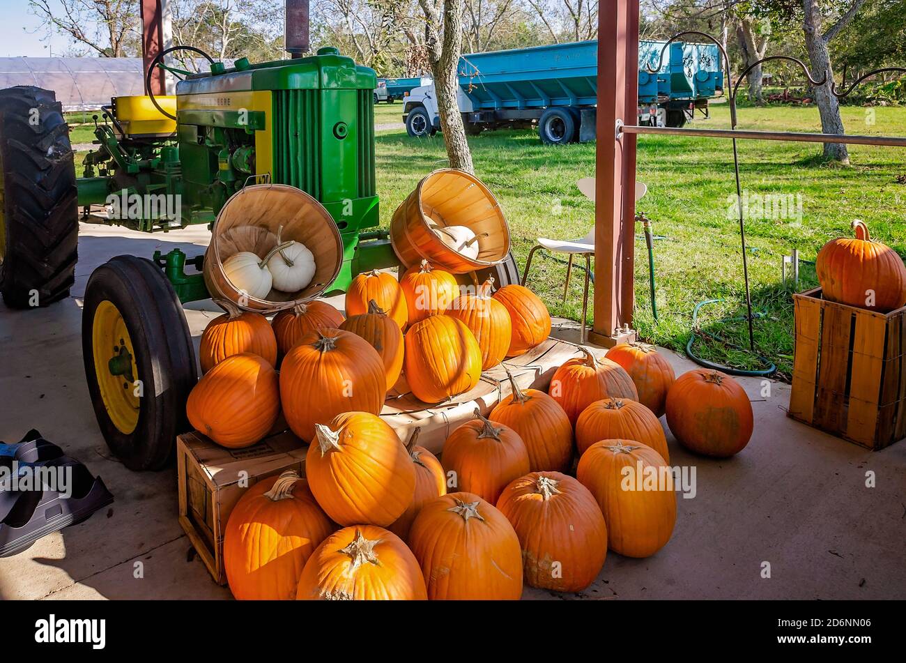 Zucche e altri prodotti stagionali sono esposti al McKenzie Farm Market, 17 ottobre 2020, a Fairhope, Alabama. Foto Stock