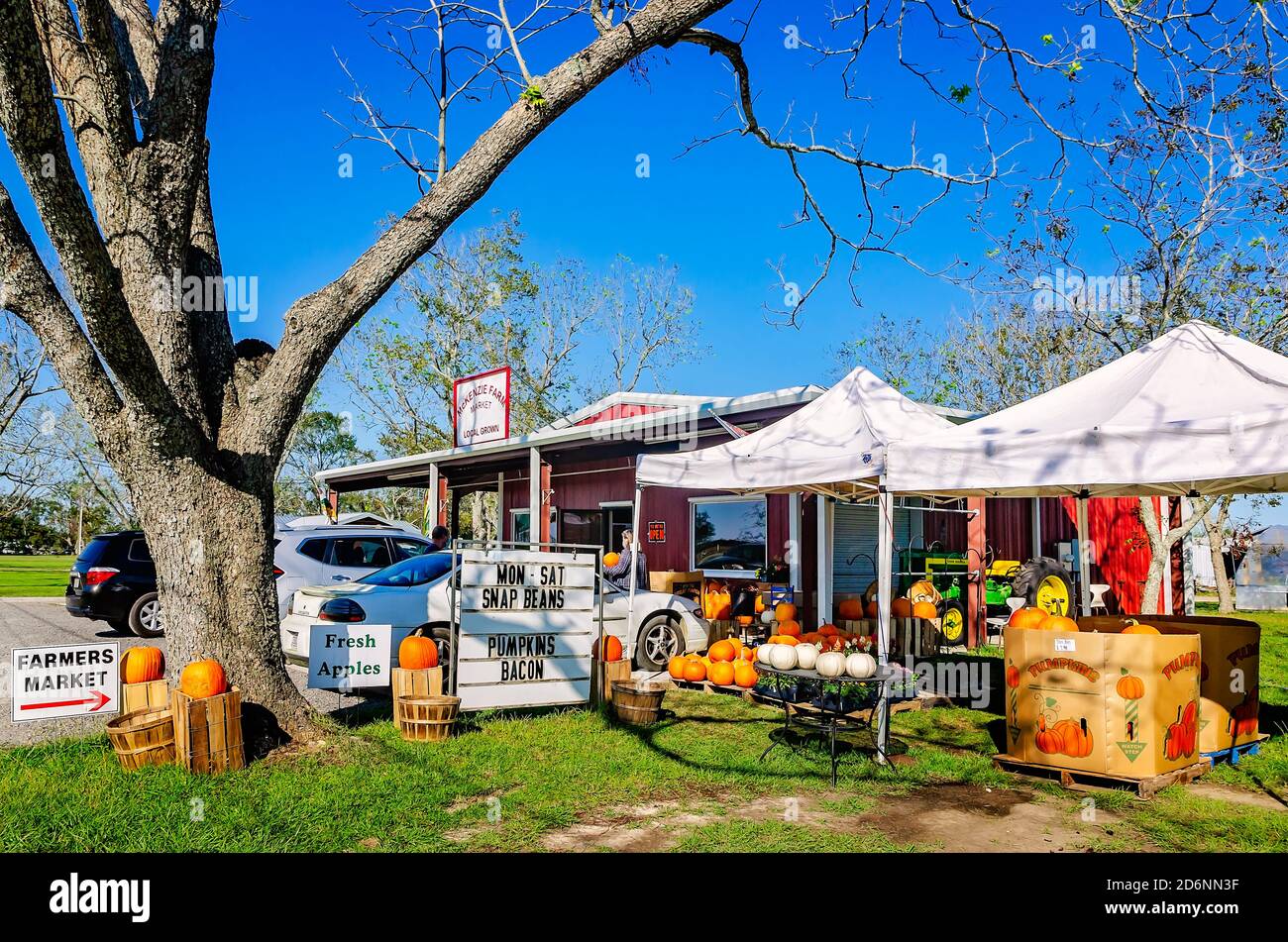Zucche e altri prodotti stagionali sono esposti al McKenzie Farm Market, 17 ottobre 2020, a Fairhope, Alabama. Foto Stock