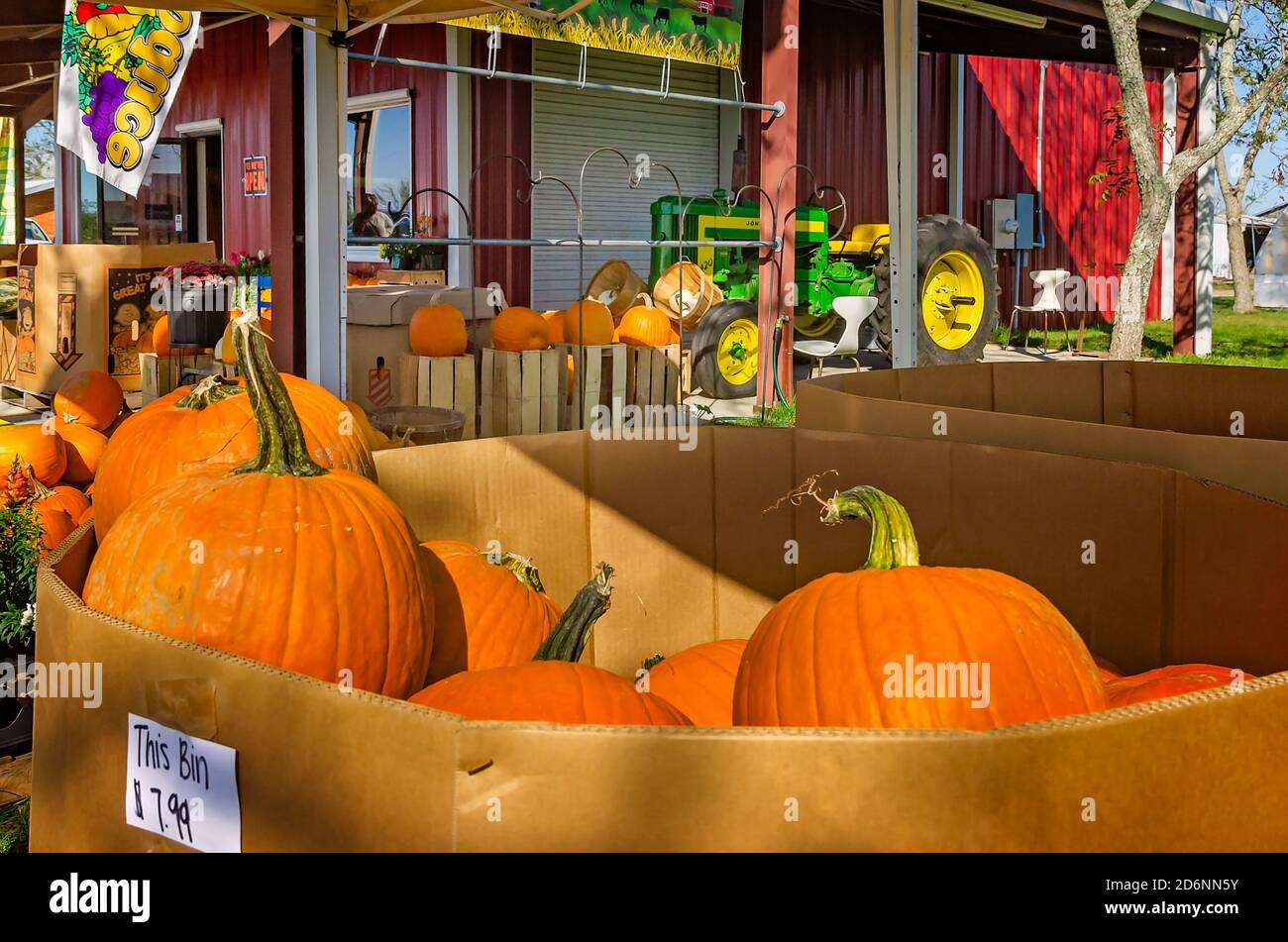 Zucche e altri prodotti stagionali sono esposti al McKenzie Farm Market, 17 ottobre 2020, a Fairhope, Alabama. Foto Stock