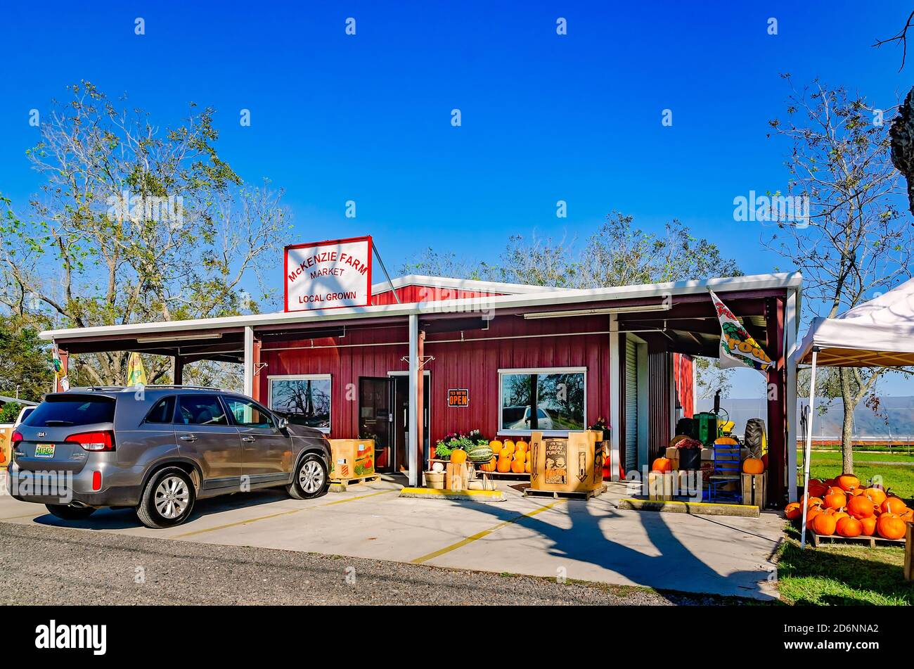 Zucche e altri prodotti stagionali sono esposti al McKenzie Farm Market, 17 ottobre 2020, a Fairhope, Alabama. Foto Stock