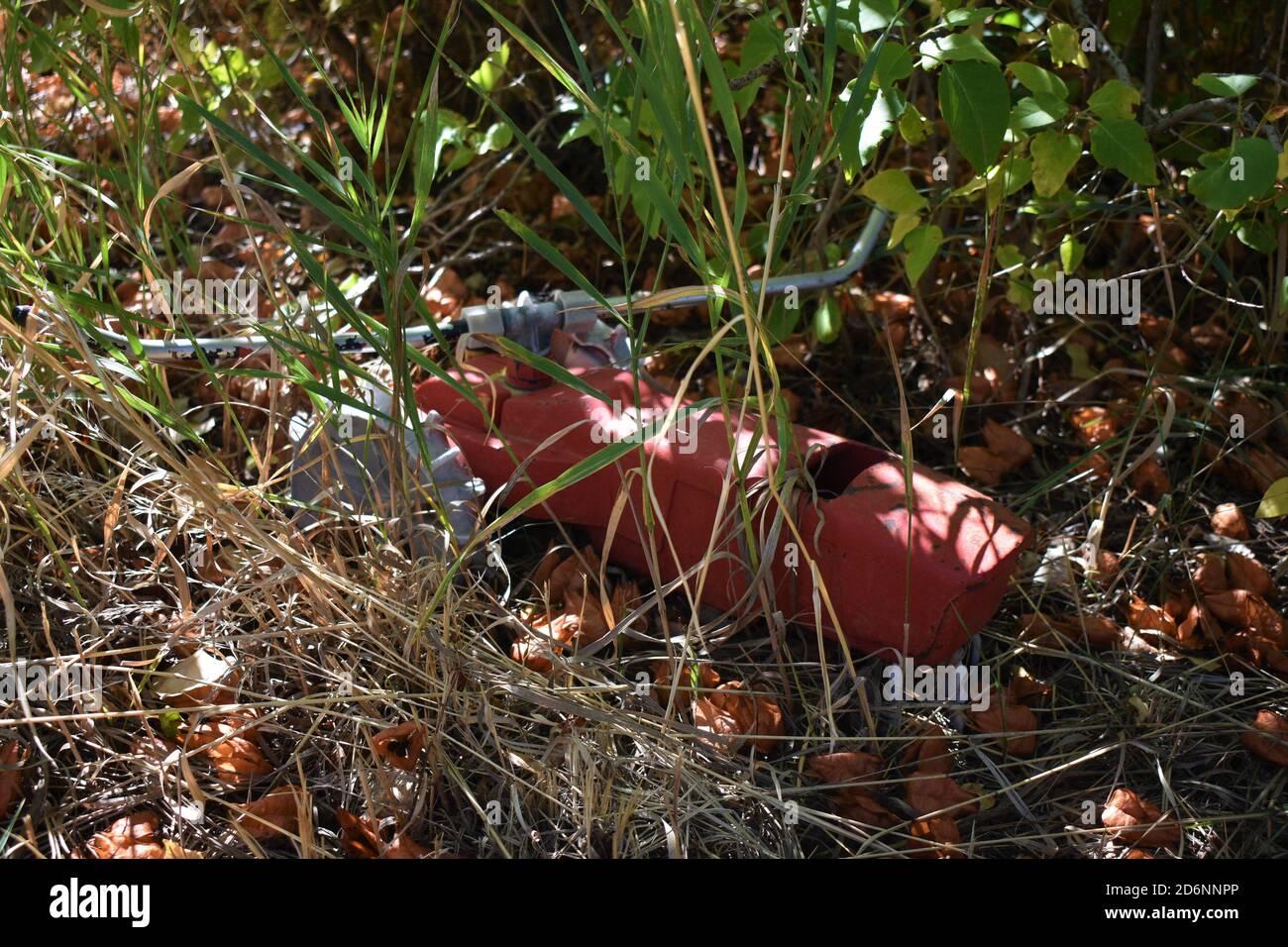 L'irrorare abbandonato del trattore per prati rossi è cresciuto con erba e erbacce in un cortile anteriore Foto Stock