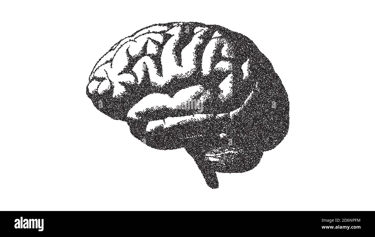 Illustrazione della vista laterale del cervello con stile di disegno a punti a stiple isolato su sfondo bianco Foto Stock