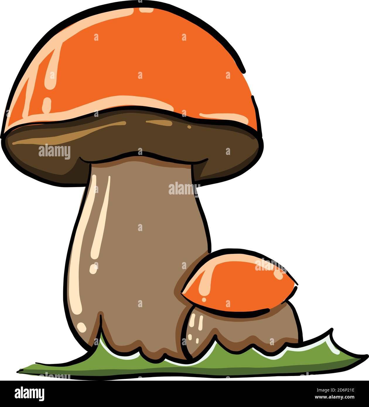 Due funghi, illustrazione, vettore su sfondo bianco Illustrazione Vettoriale