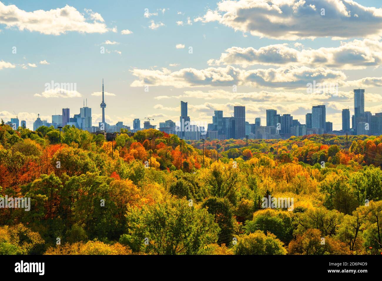 Toronto paesaggio autunnale con edifici punto di riferimento del centro in background e. lussureggiante fogliame in vivaci colori autunnali in primo piano Foto Stock