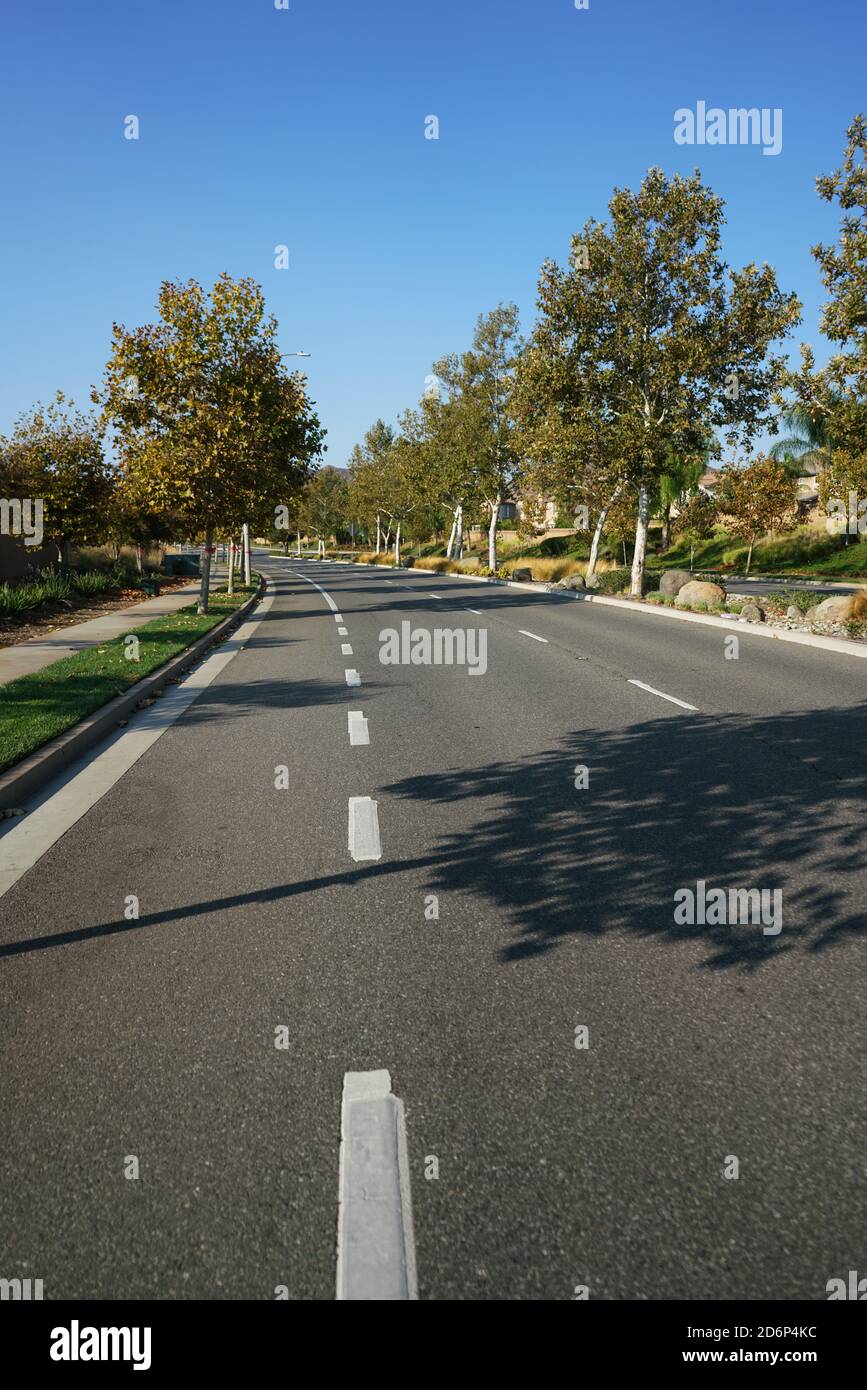 Vuota strada alberata in giornata di sole Foto Stock