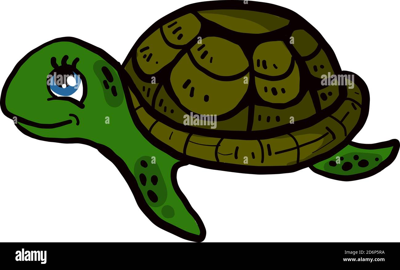 Tartaruga felice, illustrazione vettore su sfondo bianco. Illustrazione Vettoriale