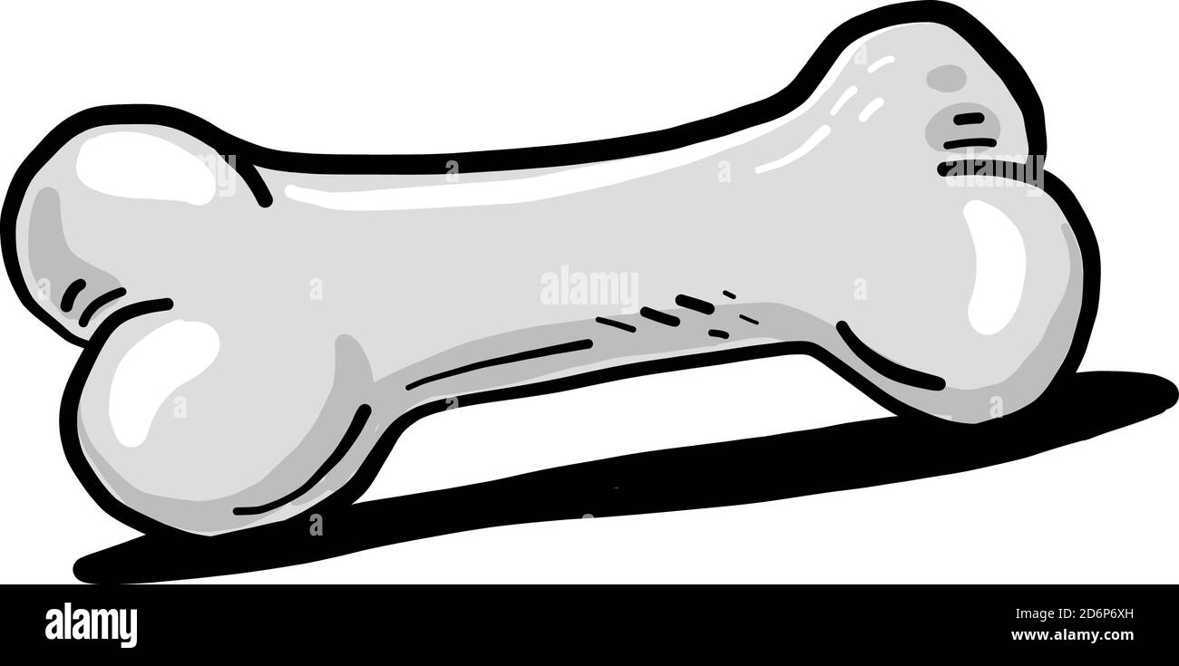 Osso bianco, illustrazione, vettore su sfondo bianco. Illustrazione Vettoriale