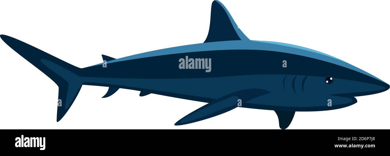 Squalo blu spaventoso, illustrazione, vettore su sfondo bianco. Illustrazione Vettoriale