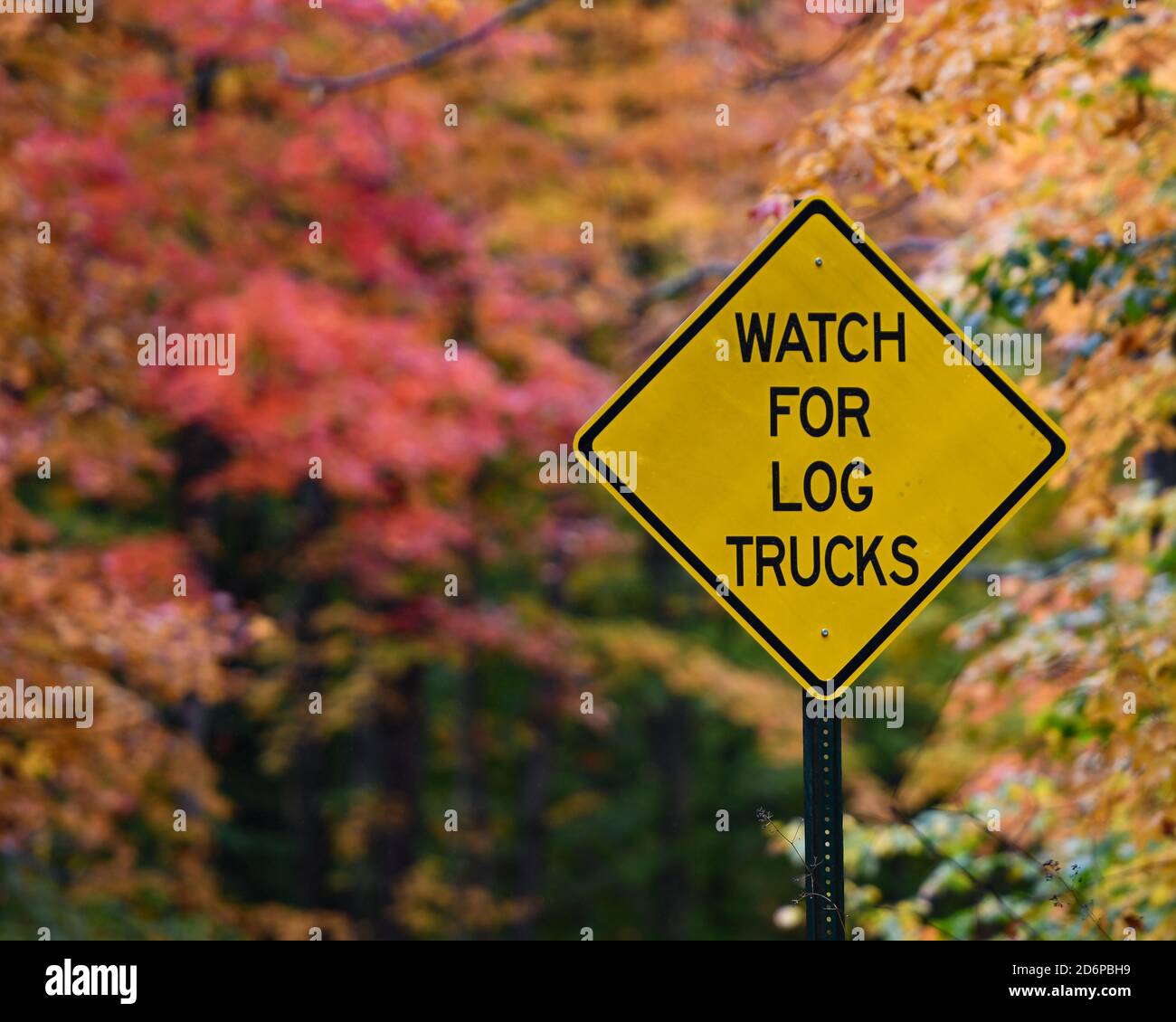 In autunno, un orologio per camion di tronchi indica una strada di tronchi nelle Adirondack Mountains, NY USA Foto Stock