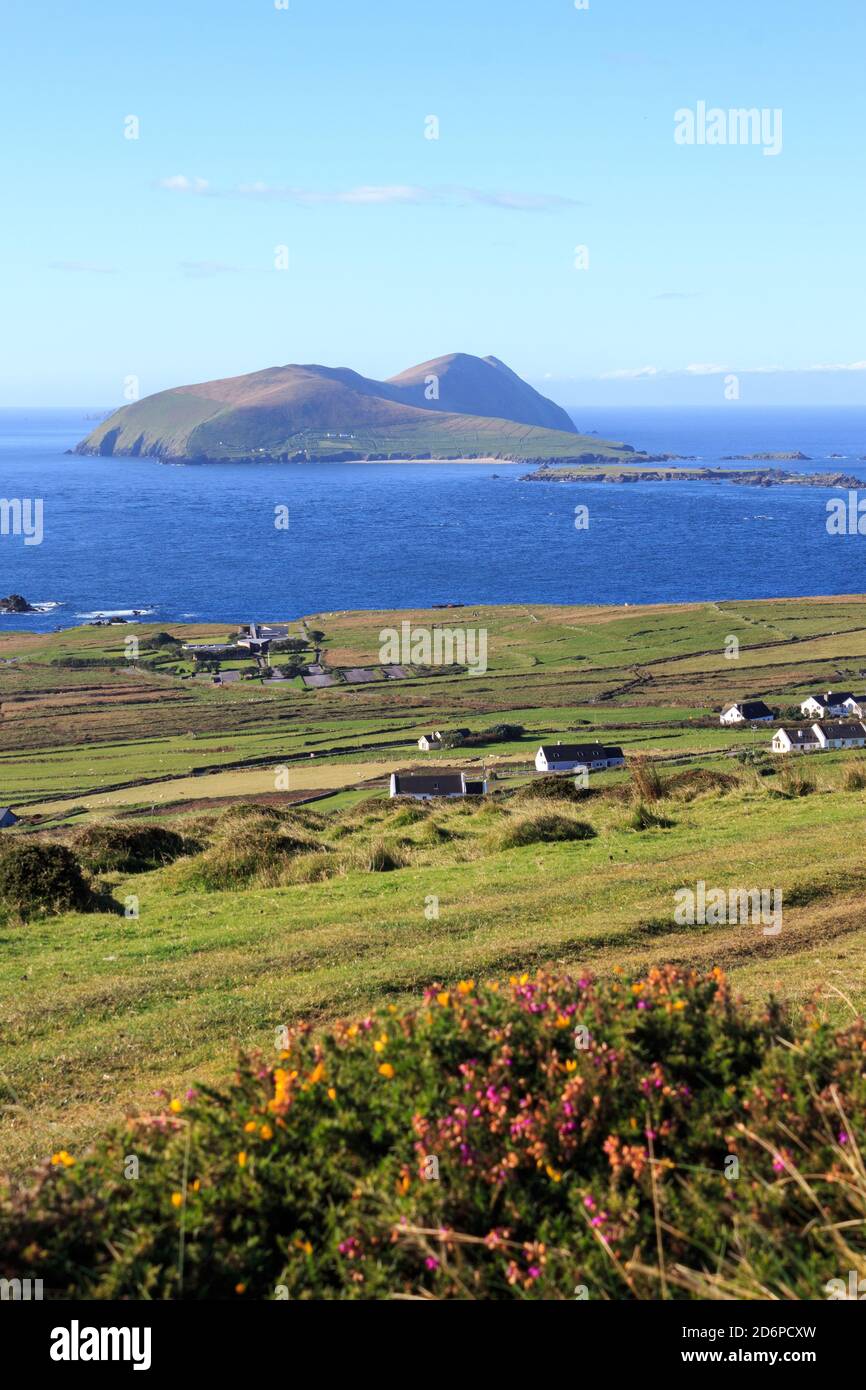 La Grande Isola di Blasket vista dalle pendici di Cruach Mhárthain sulla penisola di Dingle lungo la Wild Atlantic Way In Irlanda Foto Stock