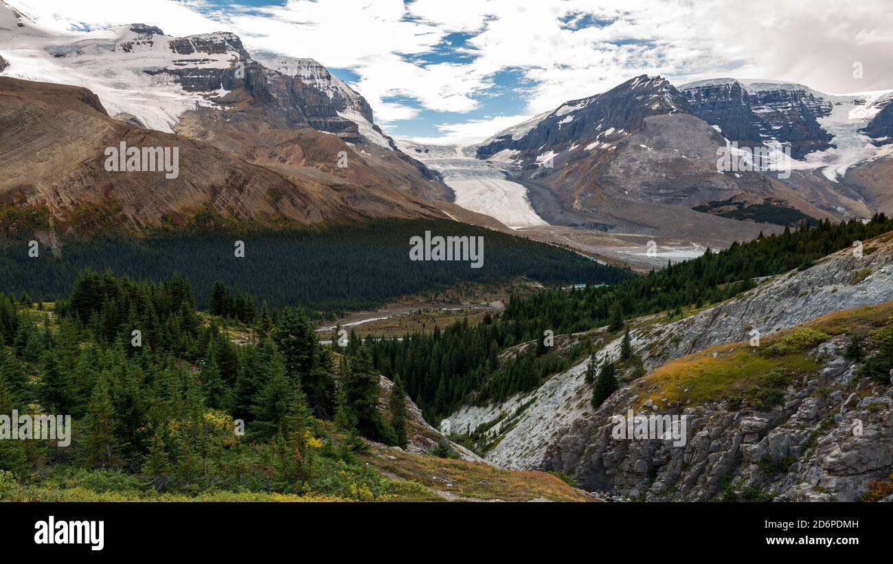 Vista del ghiacciaio Athabasca dal sentiero di picco Wilcox e Forefront foresta e montagne nel Jasper National Park, Alberta, Canada. Foto Stock