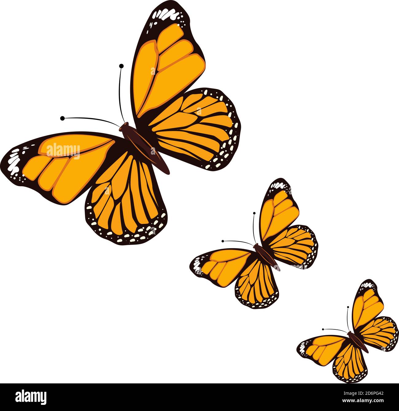 Farfalla arancione, illustrazione, vettore su sfondo bianco. Illustrazione Vettoriale