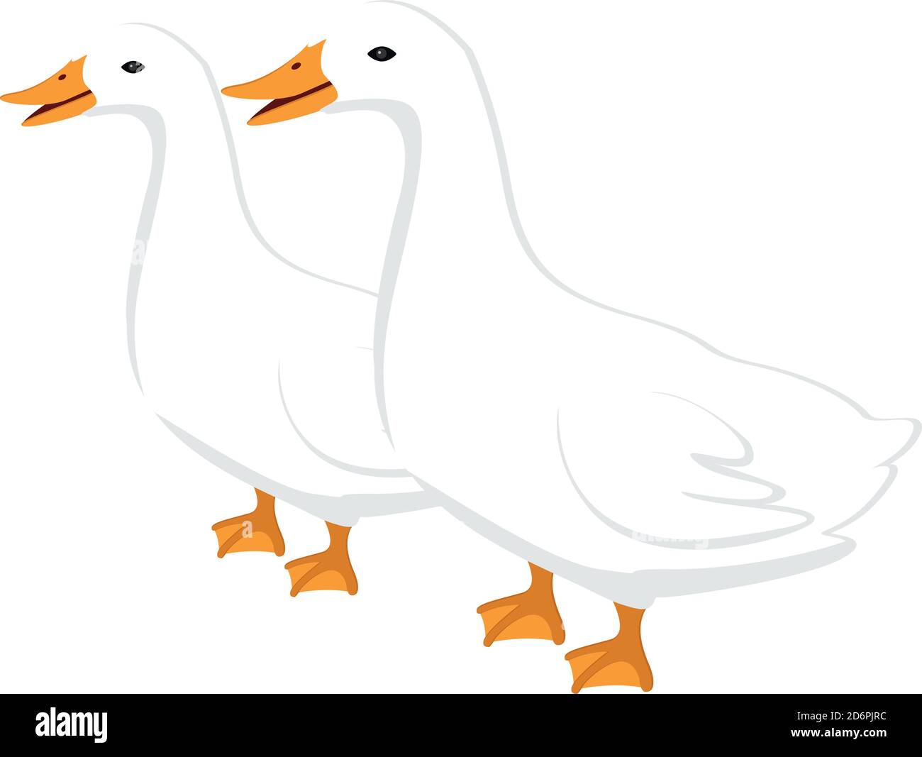 Due anatre, illustrazione, vettore su sfondo bianco. Illustrazione Vettoriale