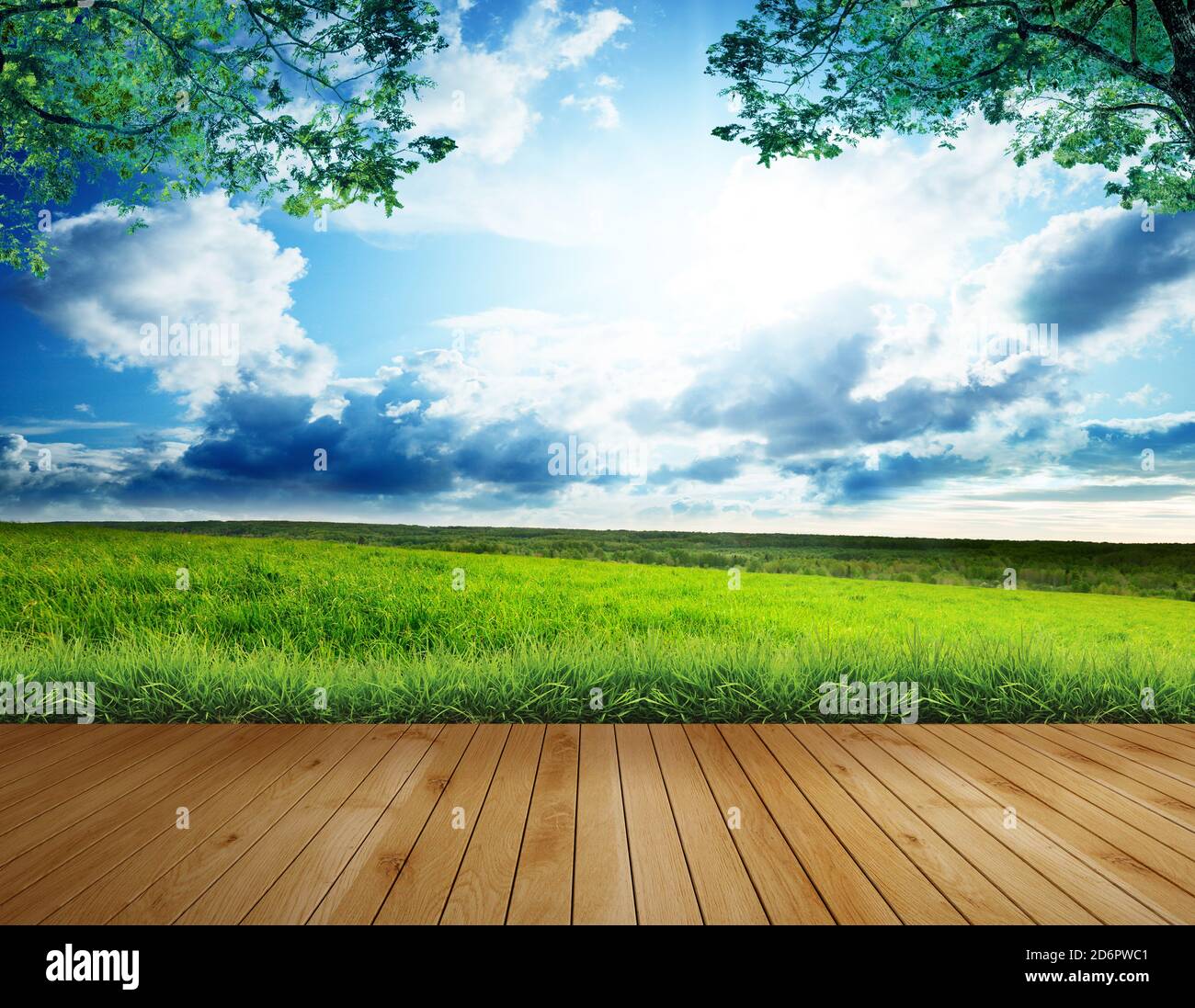 Tavola di legno o terrazza con campi di erba verde in sole giorno e cielo blu sfondo Foto Stock