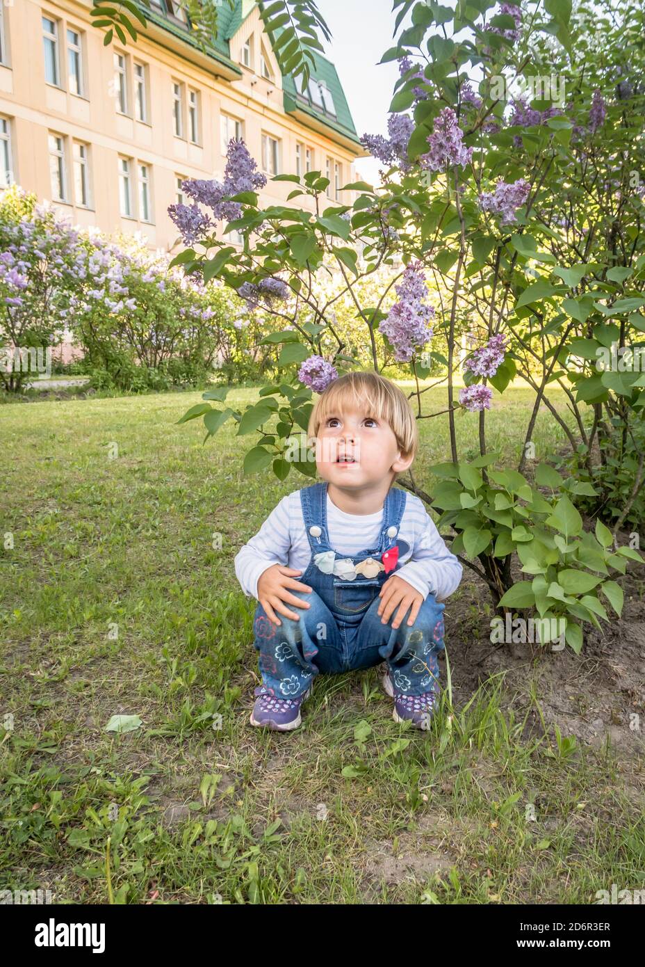 Il bambino accovacciato sotto un cespuglio fiorito guarda in su dentro sorpresa Foto Stock