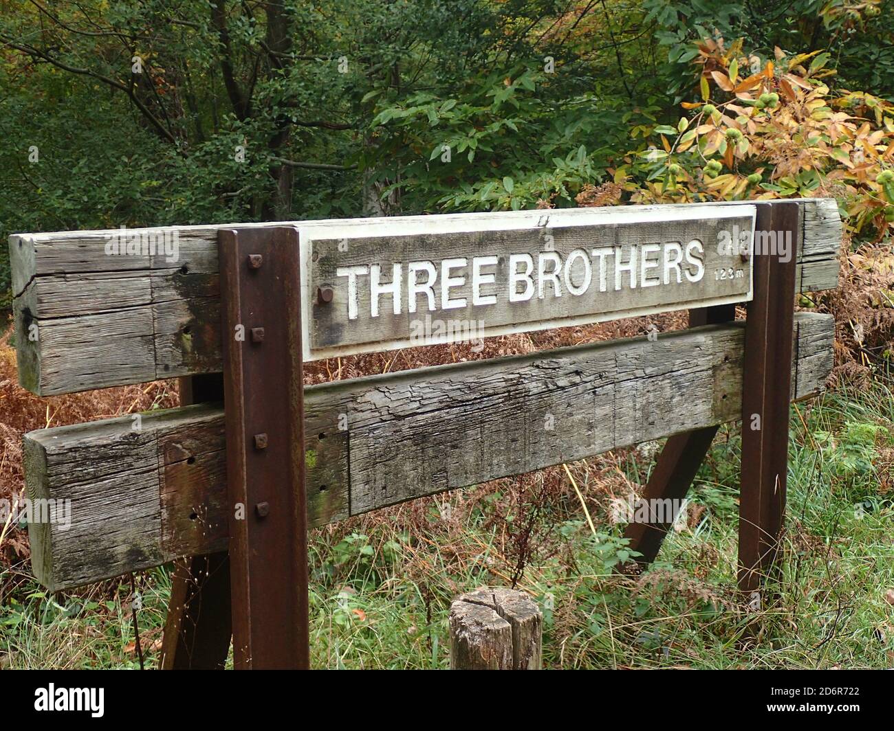 Tre Fratelli firmano Foresta di Dean Foto Stock