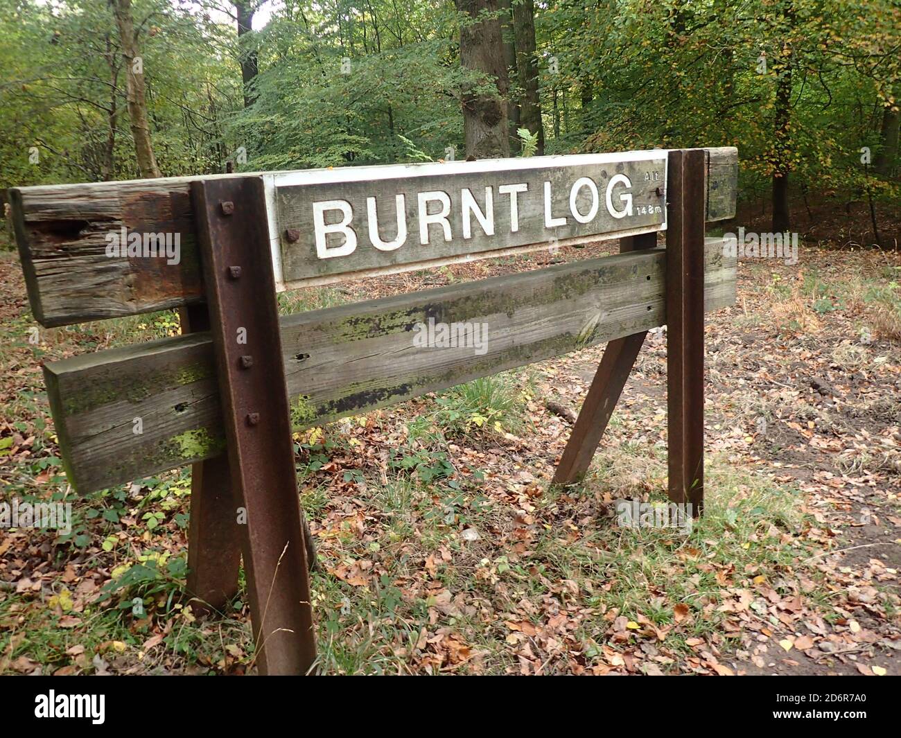 Burned Log segno Foresta di Dean Foto Stock