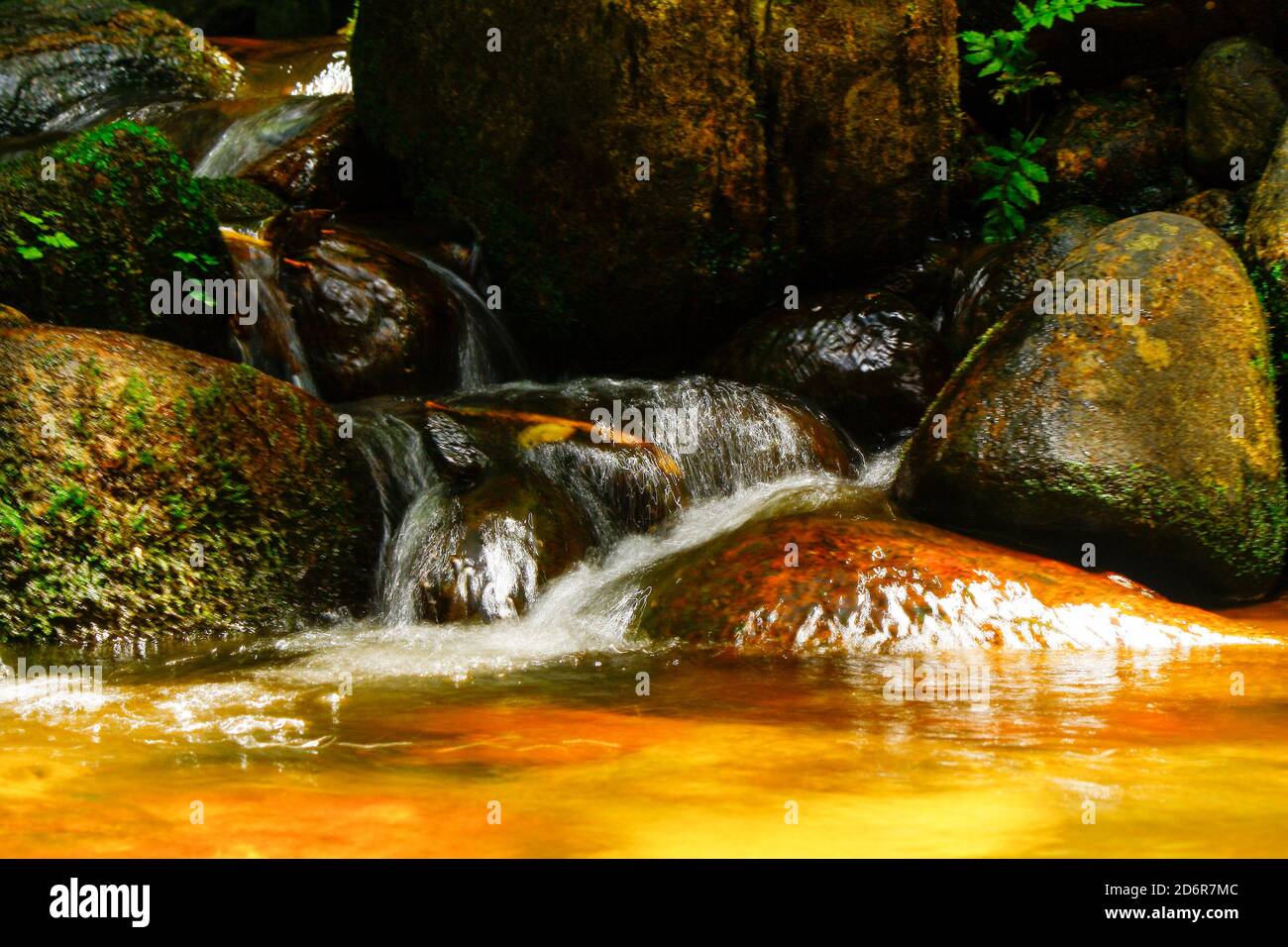 Cascata miniture con acqua bianca schiumosa e setosa che scorre sopra il frullato pietre nei torrenti della giungla trasparente del monte pidurutalagala Foto Stock