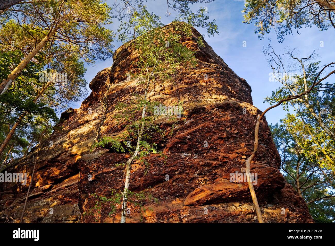 Pietra arenaria rossa Efles, Germania, Nord Reno-Westfalia, Eifel, Nideggen Foto Stock