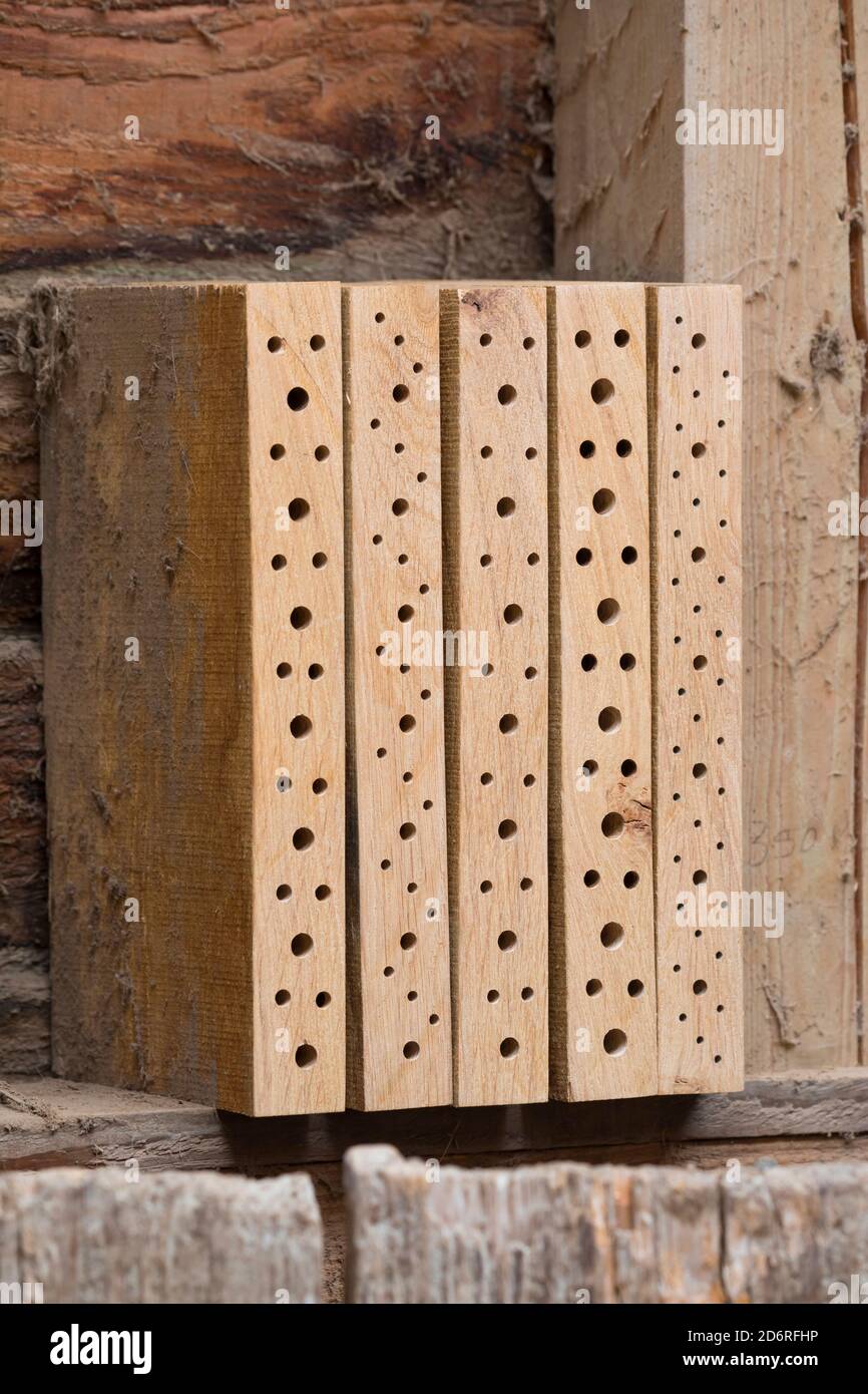 Hotel di insetto per api selvatiche fatti con tavole di legno, Germania Foto Stock
