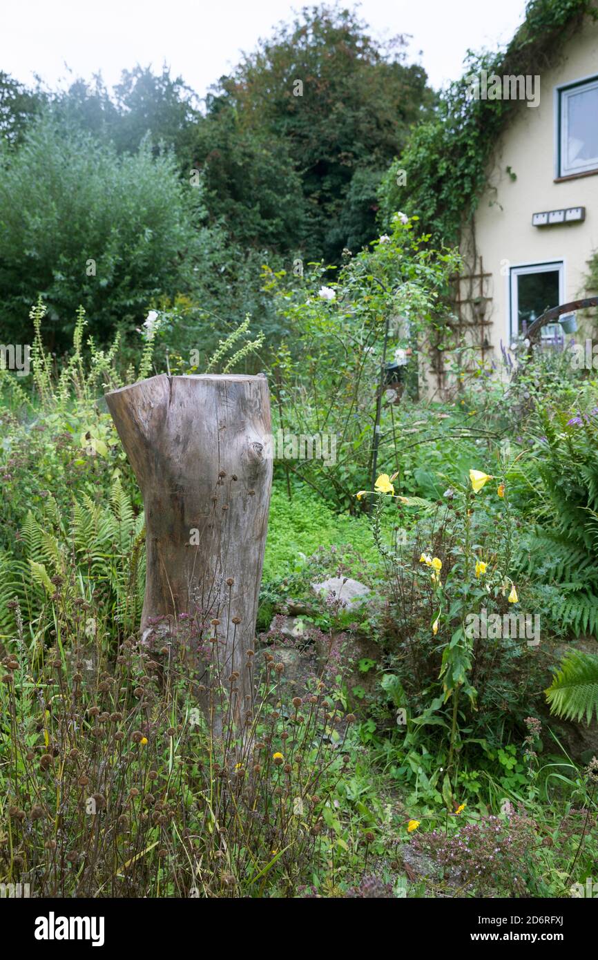 Legno morto in un giardino come habitat per insetti, Germania Foto Stock
