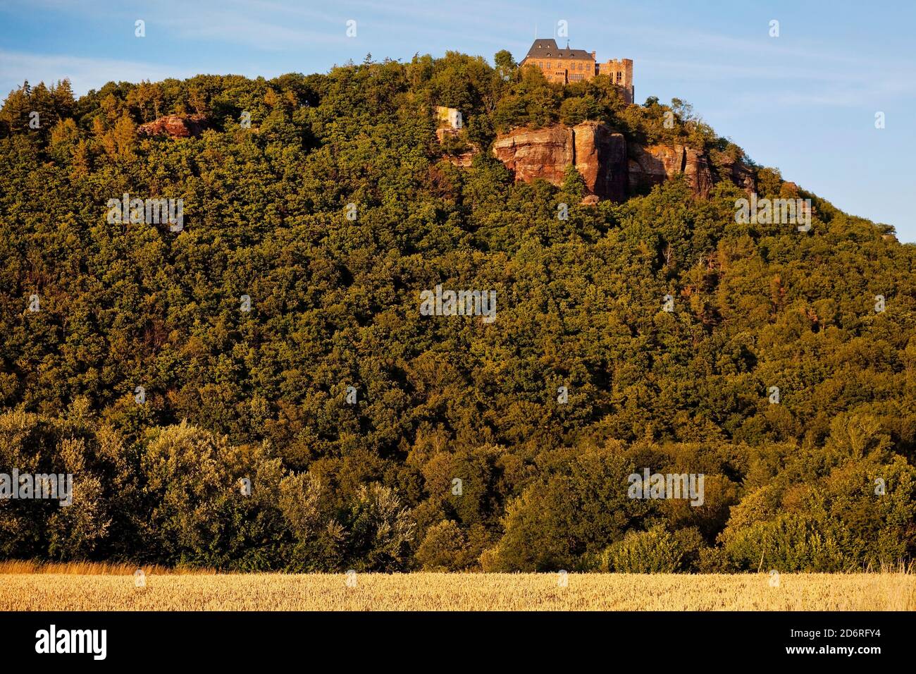 castello Nideggen alto sopra la valle di Rur, Germania, Nord Reno-Westfalia, Eifel, Nideggen Foto Stock