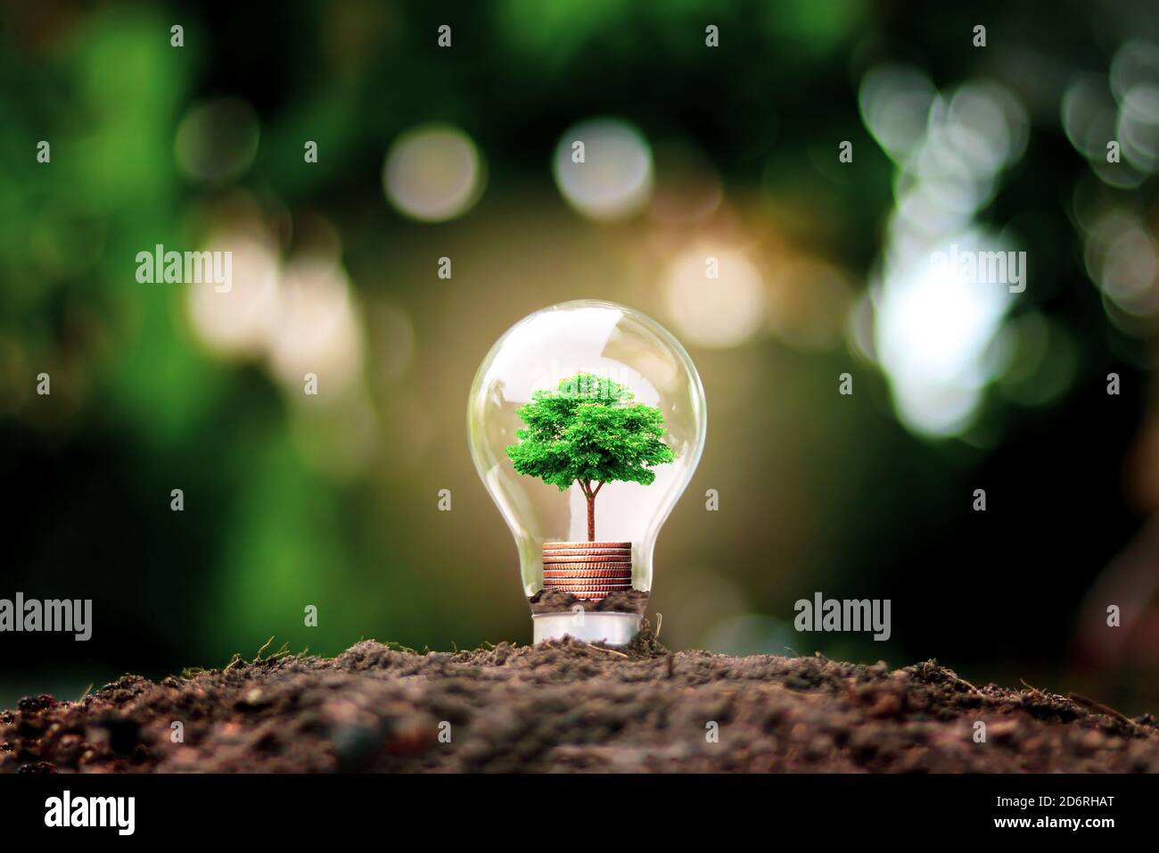 L'albero cresce nelle lampadine, nei concetti di risparmio energetico e ambientali del giorno della Terra. Foto Stock