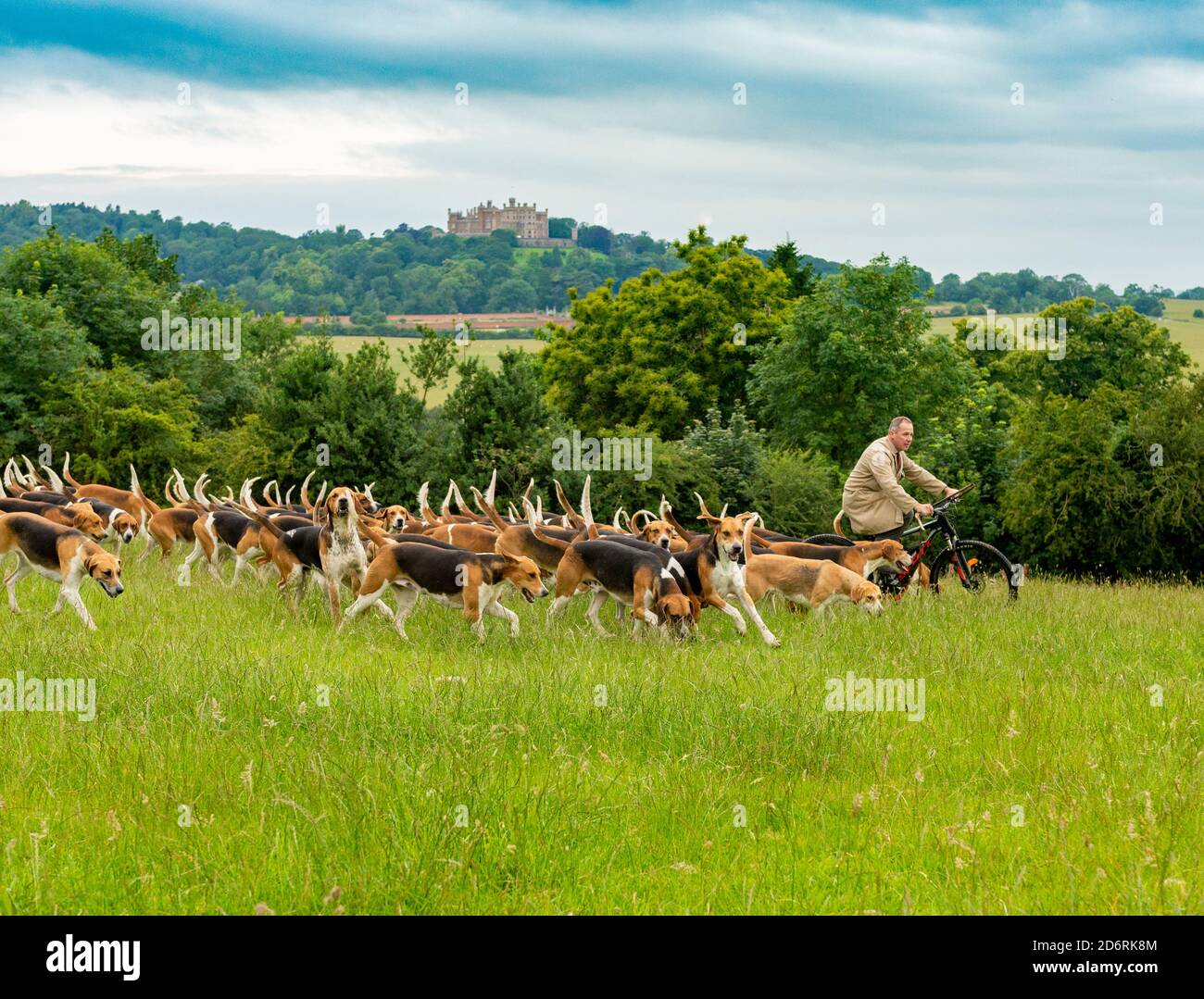 Belvoir, Grantham, Lincolnshire, Regno Unito. Il Duca di Rutland si allontana per l'esercizio mattutino con Huntsman John Holliday, Castello di Belvoir sullo sfondo Foto Stock