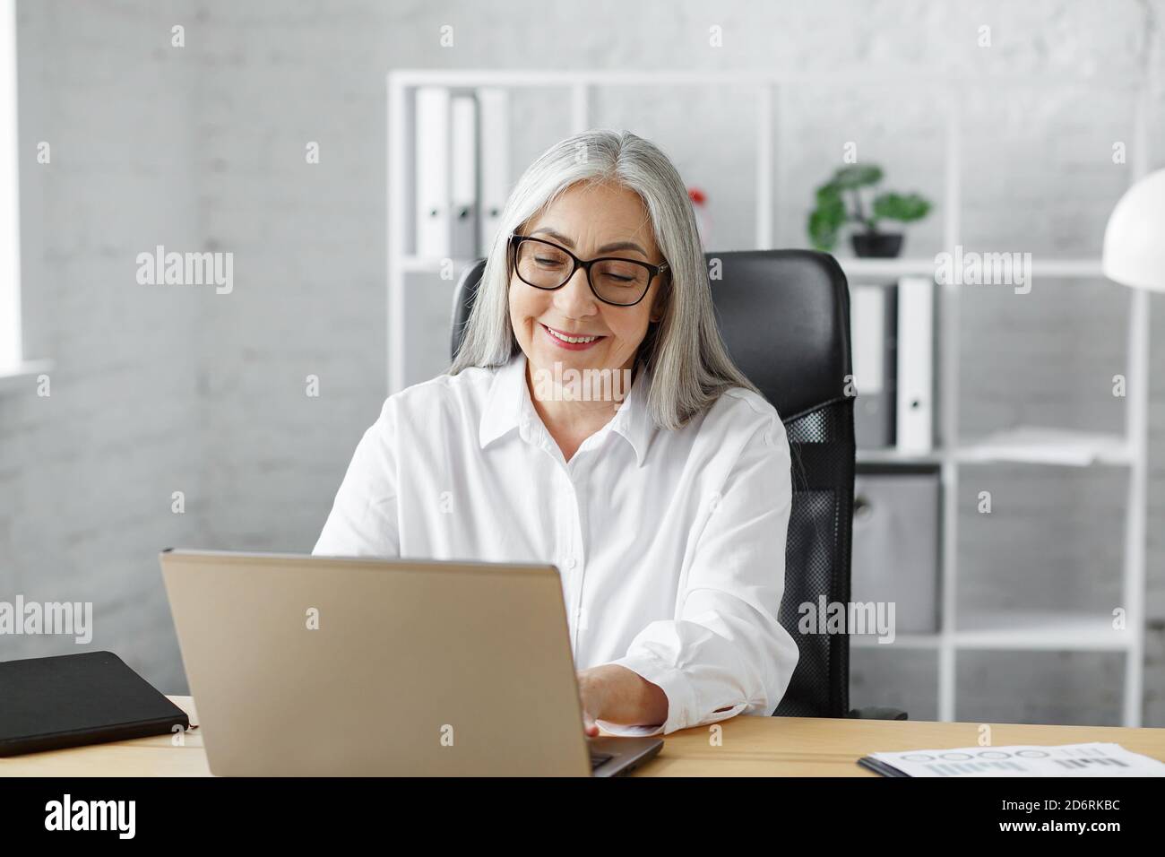 Uomo d'affari anziano con capelli grigi che lavora in ufficio con un computer portatile. Ritratto di affari della donna anziana sorridente bella che indossa gli occhiali seduti a. Foto Stock