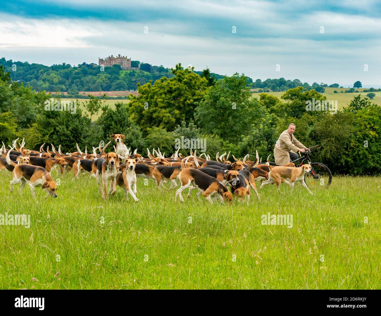 Belvoir, Grantham, Lincolnshire, Regno Unito. Il Duca di Rutland si allontana per l'esercizio mattutino con Huntsman John Holliday, Castello di Belvoir sullo sfondo Foto Stock