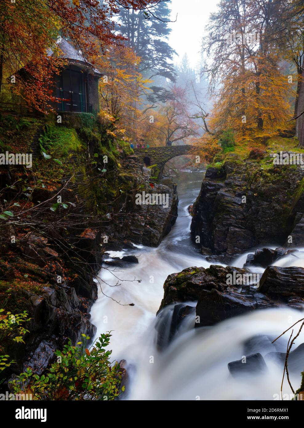 Vista autunnale della Ossian’s Hall che si affaccia sulla cascata delle Black Linn Falls sul fiume Braan all'Hermitage, Perthshire, Scozia, Regno Unito Foto Stock