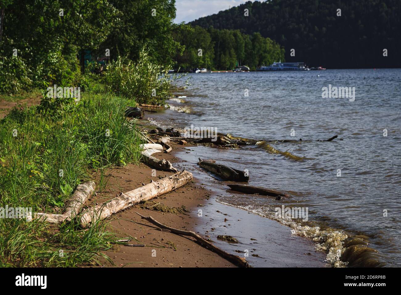 Tronchi sulla riva del fiume e le onde in estate soleggiato giorno Foto Stock