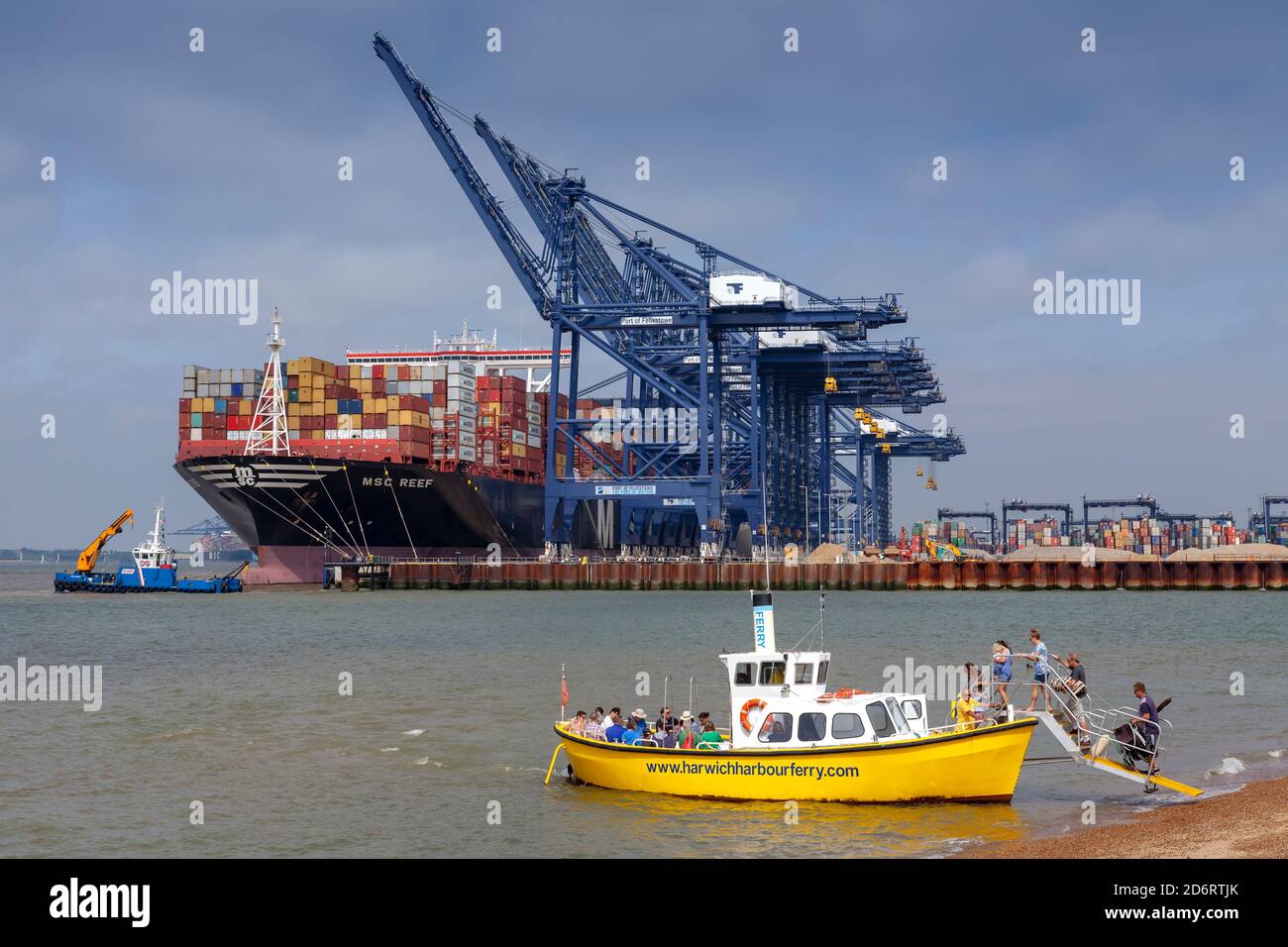 Container Port Felixstowe, Suffolk, Regno Unito Foto Stock