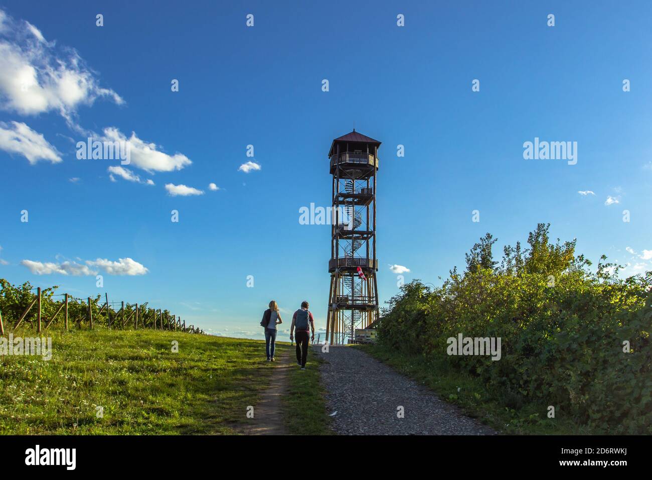 Torre di osservazione in legno e vigneti nella Moravia meridionale, Repubblica Ceca. Fine settimana fuga in natura. Sunny tranquilla giornata fuori. Guarda la torre Foto Stock