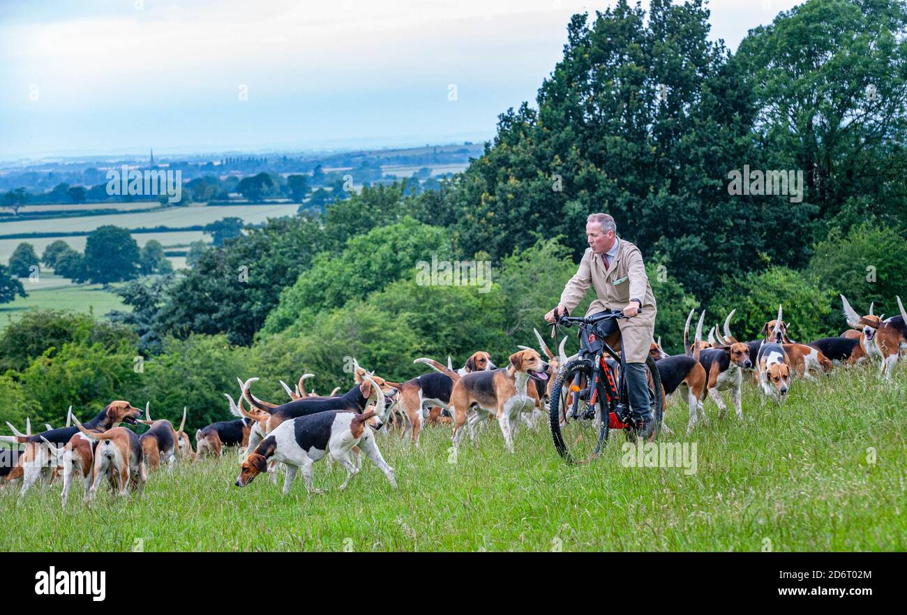 Belvoir, Grantham, Lincolnshire, Regno Unito - il Duca di Rutland si è allenato la mattina presto con il cacciatore del Belvoir John Holliday Foto Stock
