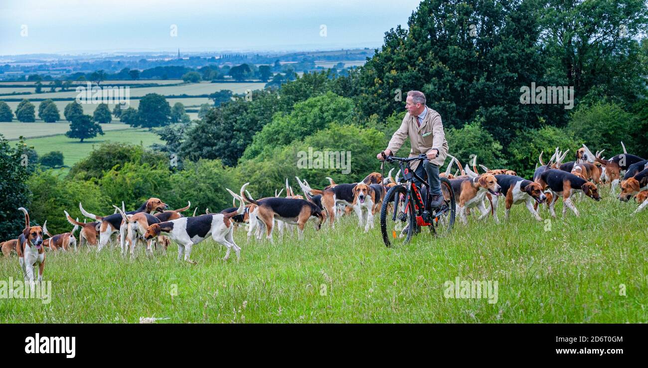 Belvoir, Grantham, Lincolnshire, Regno Unito - il Duca di Rutland si è allenato la mattina presto con il cacciatore del Belvoir John Holliday Foto Stock