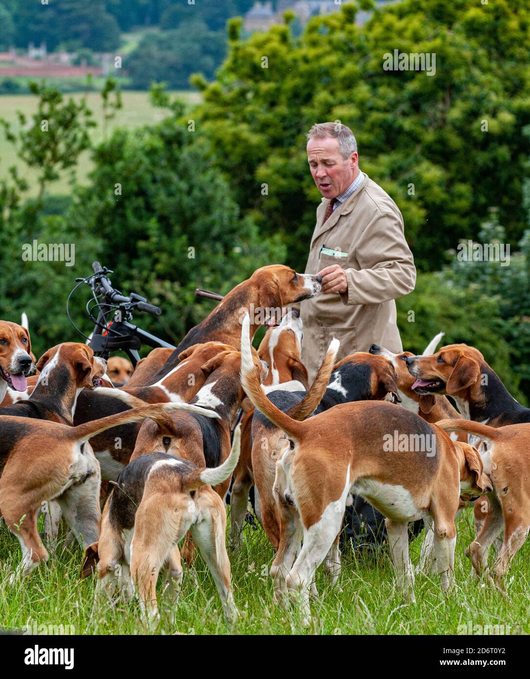 Belvoir, Grantham, Lincolnshire, Regno Unito - il Duca di Rutland si è allenato la mattina presto con il cacciatore del Belvoir John Holliday Foto Stock
