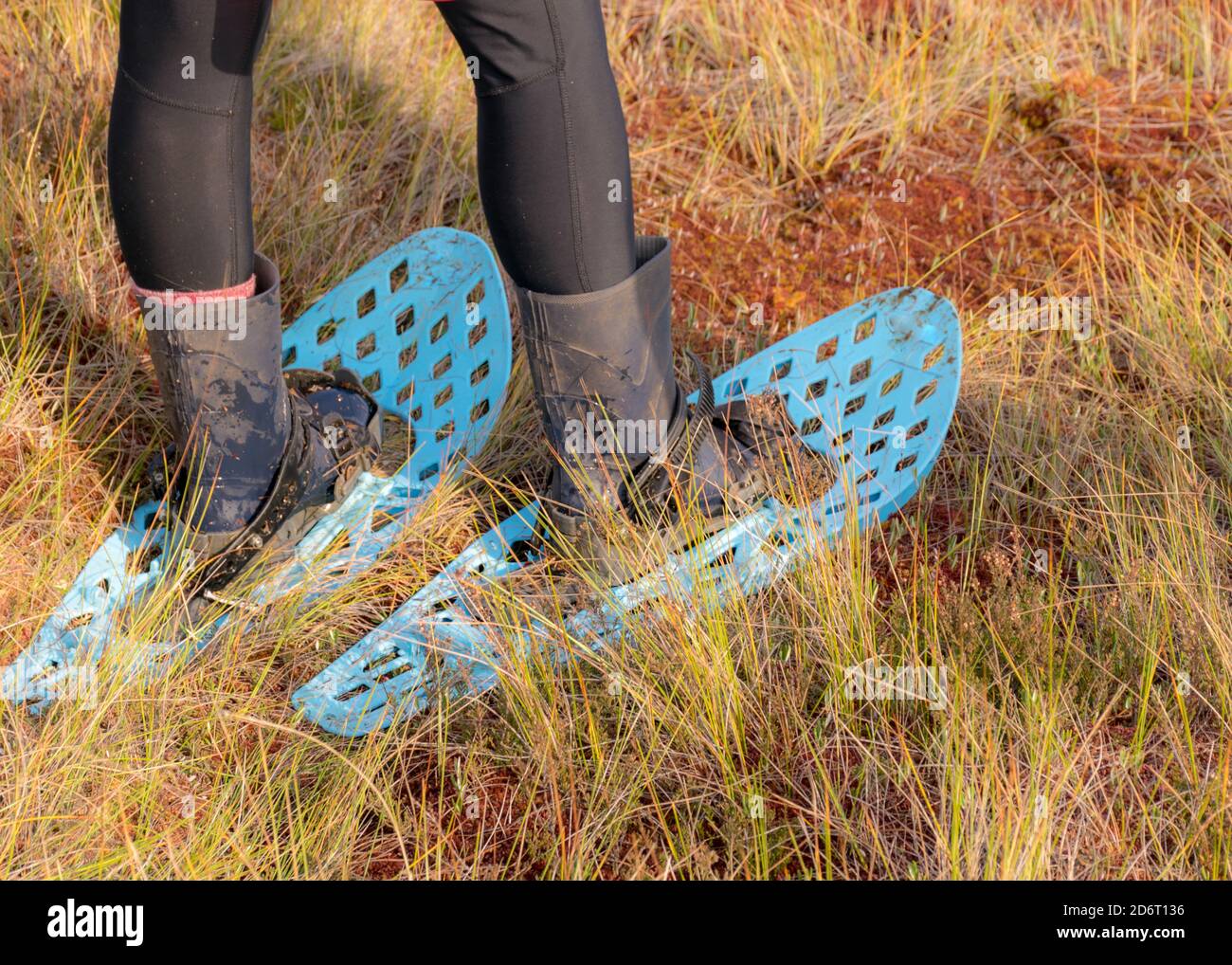 immagine con scarpe e stivali di palude e scarponi su uno sfondo di vegetazione tradizionale palude di torba, dipinto in autunno, erba, muschio copre il terreno Foto Stock