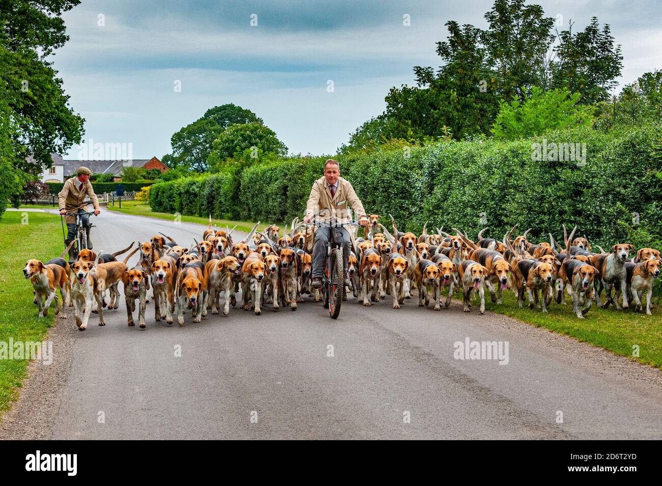 Belvoir, Grantham, Lincolnshire, Regno Unito - il Duca di Rutland si è allenato la mattina presto con il cacciatore del Belvoir John Holliday Foto Stock