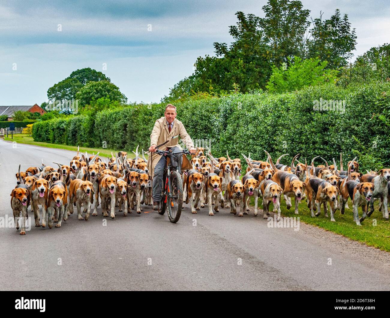 Belvoir, Grantham, Lincolnshire, Regno Unito - il Duca di Rutland si è allenato la mattina presto con il cacciatore del Belvoir John Holliday Foto Stock
