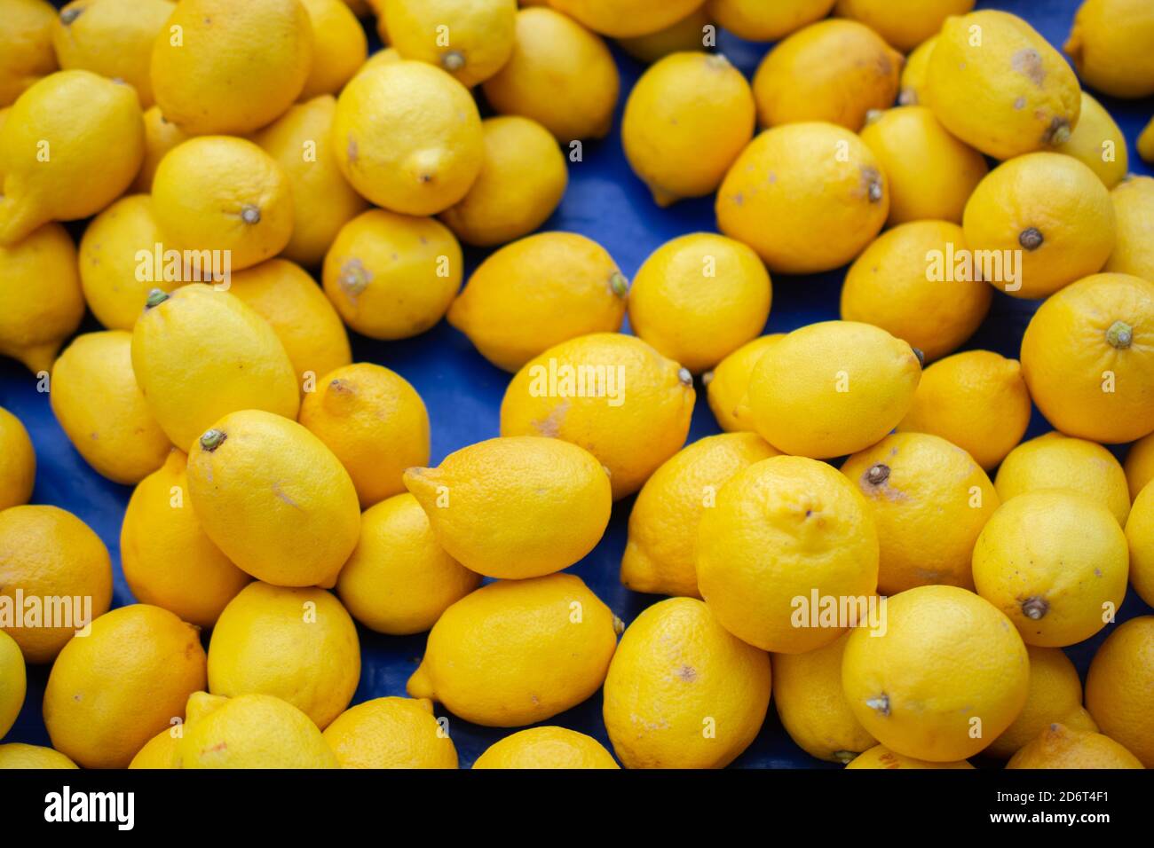 Limoni Agrumi su un mercato come texture di sfondo o Foto Stock