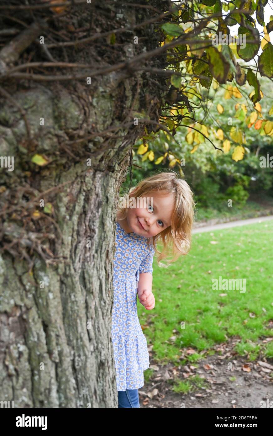 Giovane ragazza di 3 anni che gioca nel parco locale di Brighton Regno Unito che guarda cheeky nascondersi dietro l'albero Foto Stock