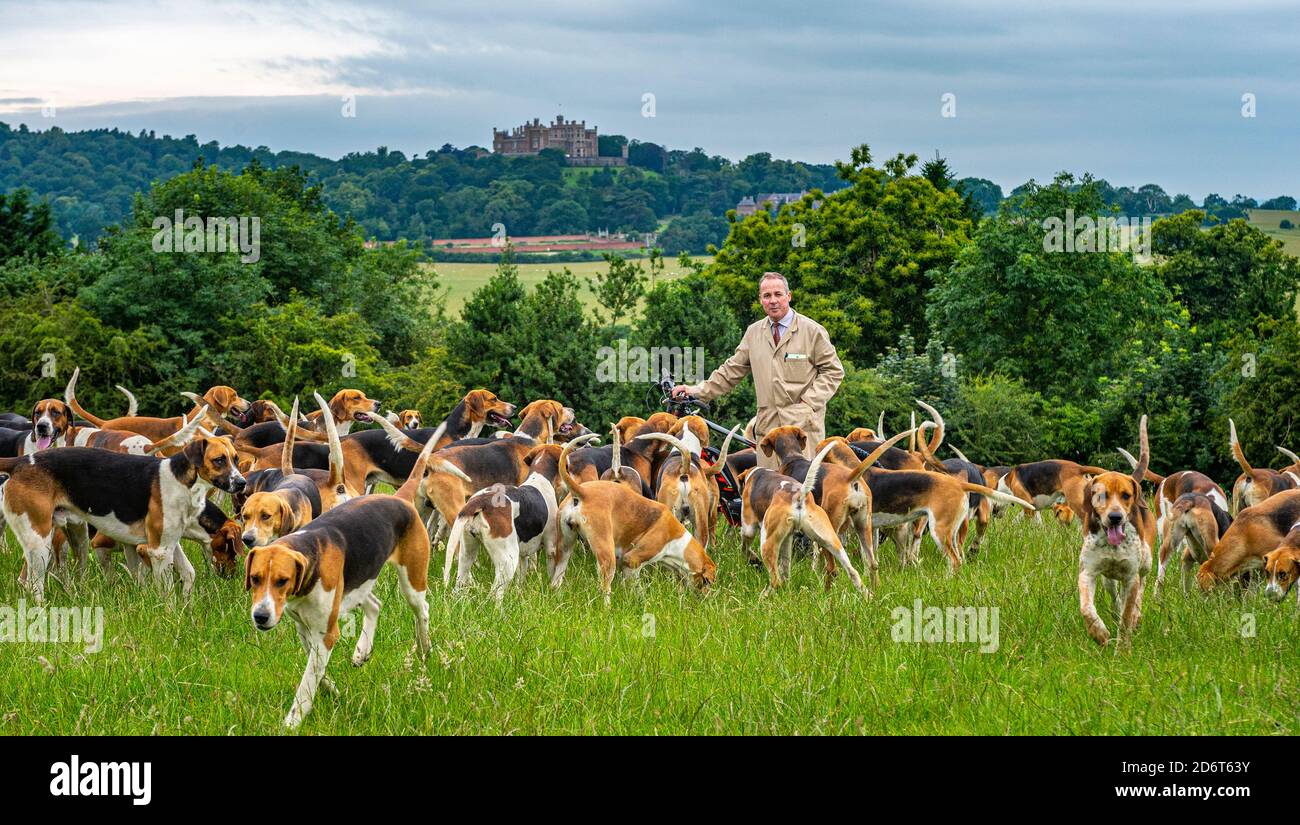 Belvoir, Grantham, Lincolnshire, Regno Unito. Il Duca di Rutland si allontana per l'esercizio mattutino con Huntsman John Holliday, Castello di Belvoir sullo sfondo Foto Stock