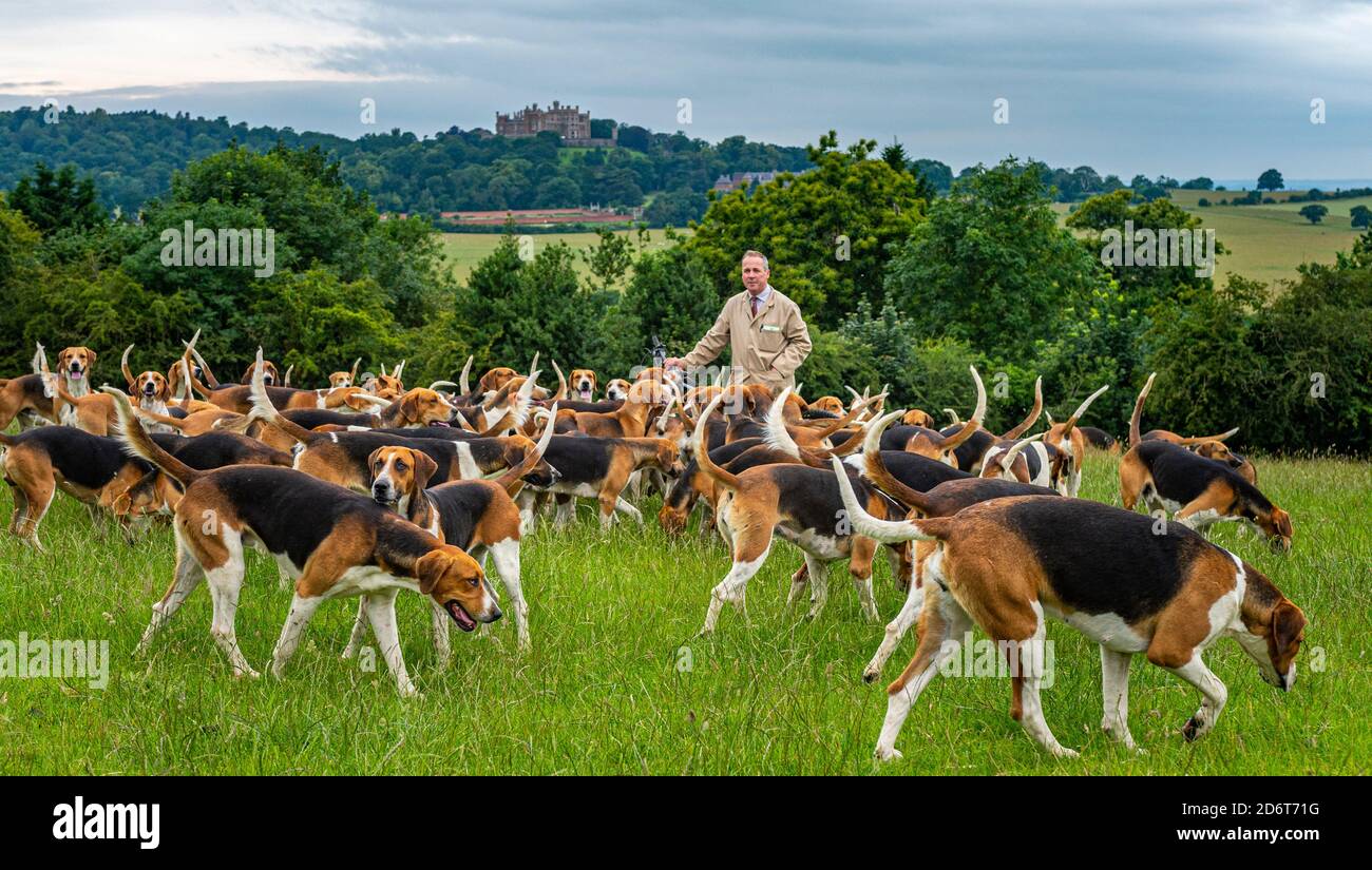 Belvoir, Grantham, Lincolnshire, Regno Unito. Il Duca di Rutland si allontana per l'esercizio mattutino con Huntsman John Holliday, Castello di Belvoir sullo sfondo Foto Stock