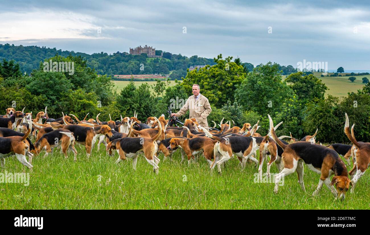 Belvoir, Grantham, Lincolnshire, Regno Unito. Il Duca di Rutland si allontana per l'esercizio mattutino con Huntsman John Holliday, Castello di Belvoir sullo sfondo Foto Stock