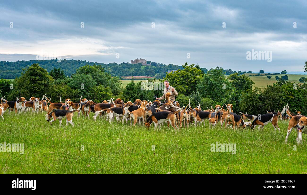 Belvoir, Grantham, Lincolnshire, Regno Unito. Il Duca di Rutland si allontana per l'esercizio mattutino con Huntsman John Holliday, Castello di Belvoir sullo sfondo Foto Stock