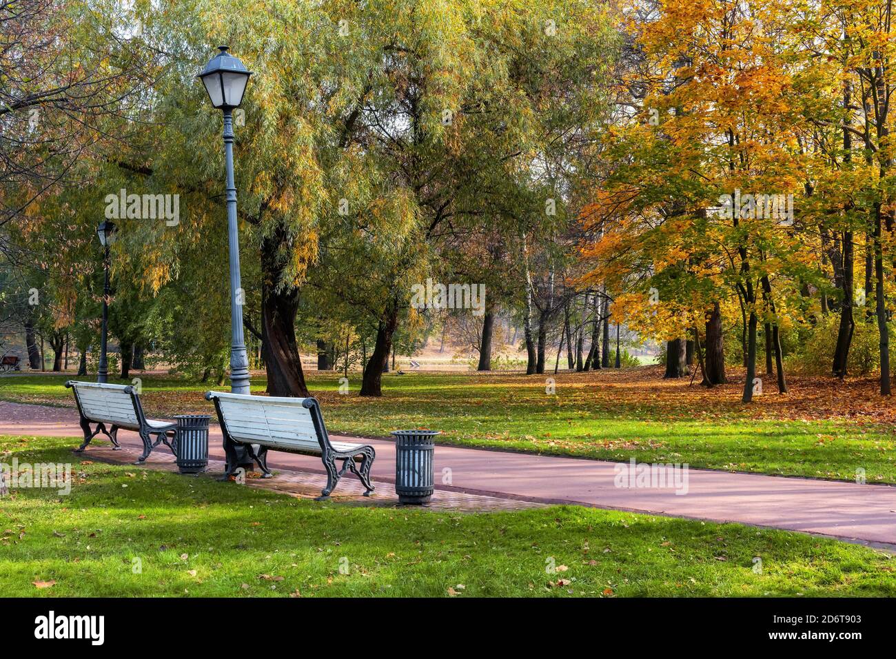 Vicolo d'autunno in un parco pubblico con alberi colorati Foto Stock