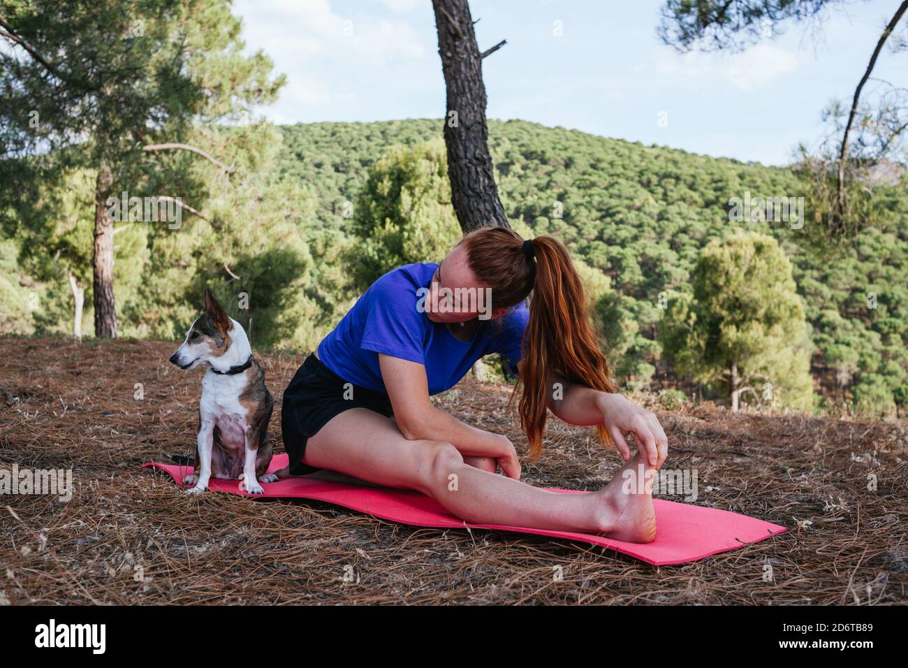 Vista laterale della femmina flessibile seduta sul tappetino a Janu Sirsasana con il cane e praticare yoga in collina nella foresta Foto Stock