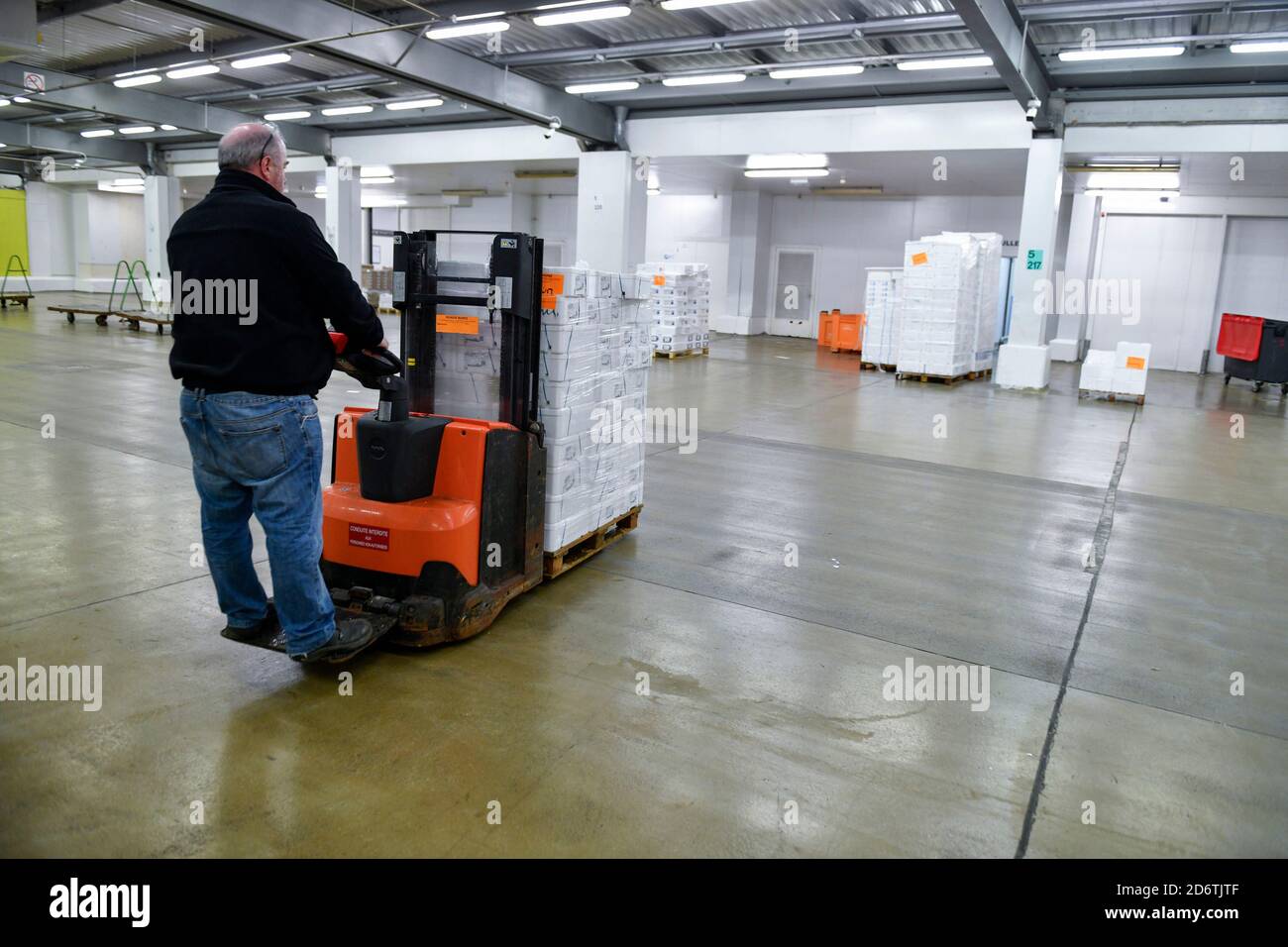 Rungis (zona di Parigi): Rungis International Market, padiglione di pesce fresco e frutti di mare. Consegna dei pesci: Scarico e ricevimento delle merci prima dell'apertura Foto Stock