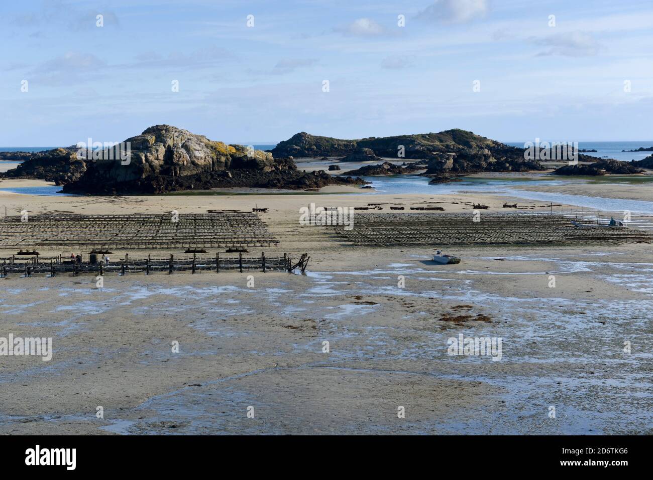 Chausey Islands, allevamento di ostriche, ostriche biologiche Lenoir Thomas Foto Stock